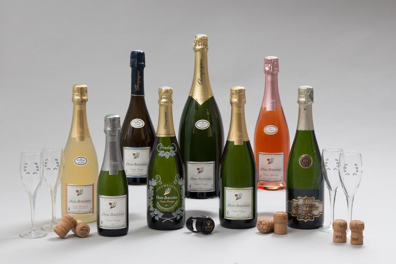 Domaine Bacchus Bed & Breakfast Reuil-sur-Marne Luaran gambar