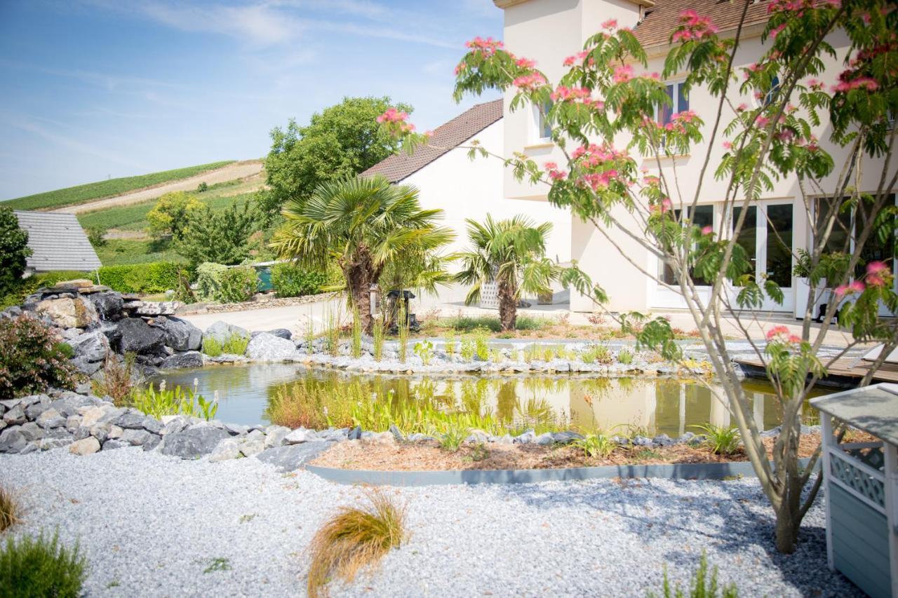 Domaine Bacchus Bed & Breakfast Reuil-sur-Marne Luaran gambar
